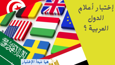 إختبار أعلام الدول العربية
