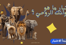 اختبار ما هو حيوانك الروحي ؟